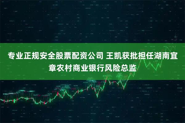 专业正规安全股票配资公司 王凯获批担任湖南宜章农村商业银行风险总监