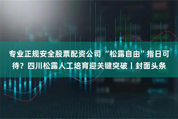 专业正规安全股票配资公司 “松露自由”指日可待?四川松露人工培育迎关键突破丨封面头条